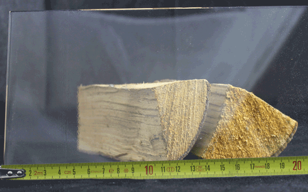 Kaminglas 4mm Zuschnitt